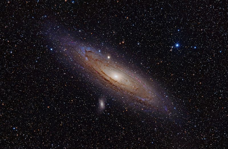 M31